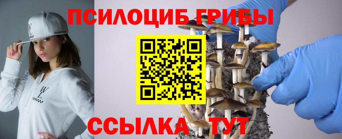 Псилоцибиновые грибы Magic Shrooms Карачаевск